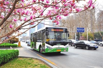 1月1日：園博動(dòng)物園公交直通車開通，兩條線路優(yōu)化調(diào)整，一條線路恢復(fù)運(yùn)營(yíng)，增設(shè)1處站點(diǎn)