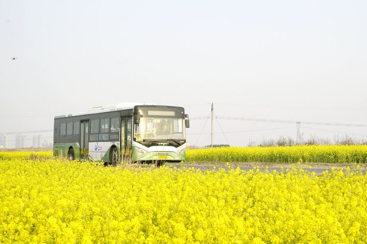 邯鄲公交：路遇三輪車側翻 車長飛奔下車救助